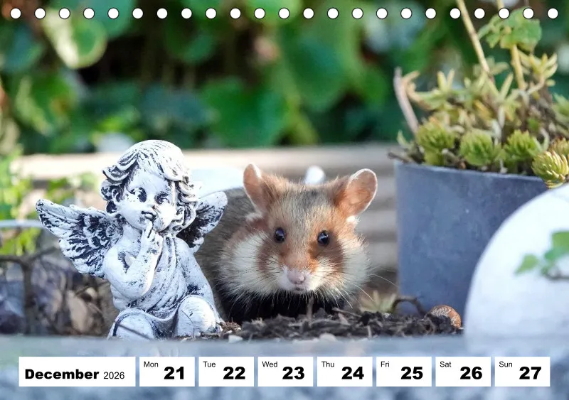desk calendar 2026