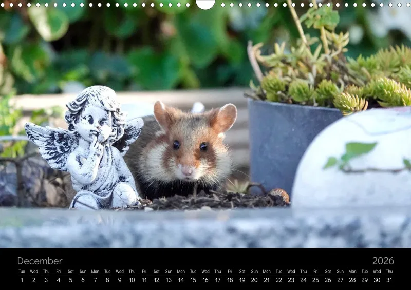 monthly calender 2026 - A3
