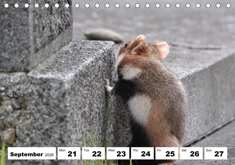 desk calendar 2026