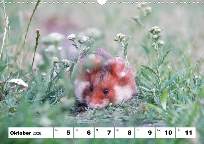Wochenkalender 2026 -A3