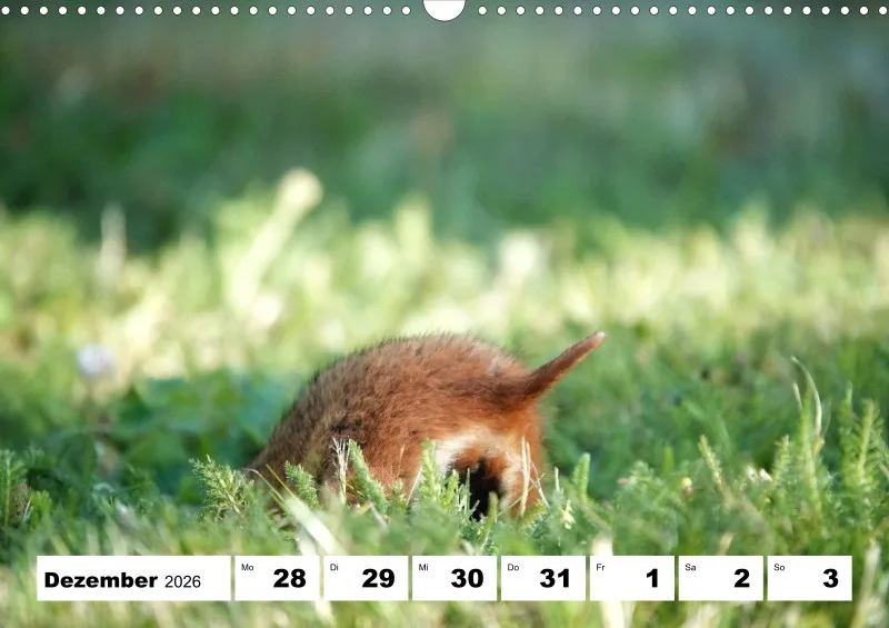 Wochenkalender 2026 -A3