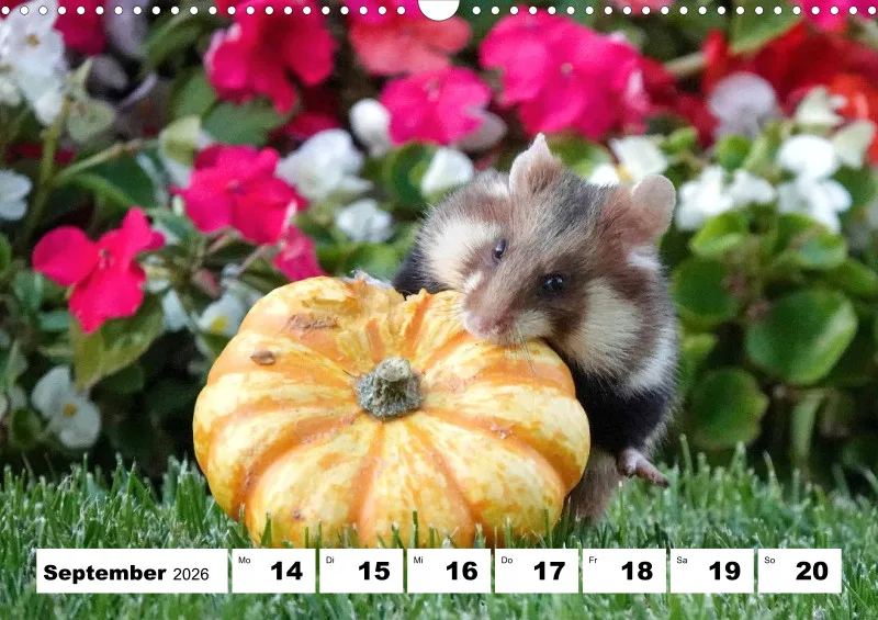 Wochenkalender 2026 -A3