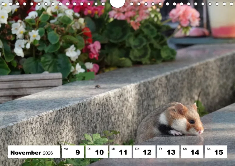 Wochenkalender 2026 -A4