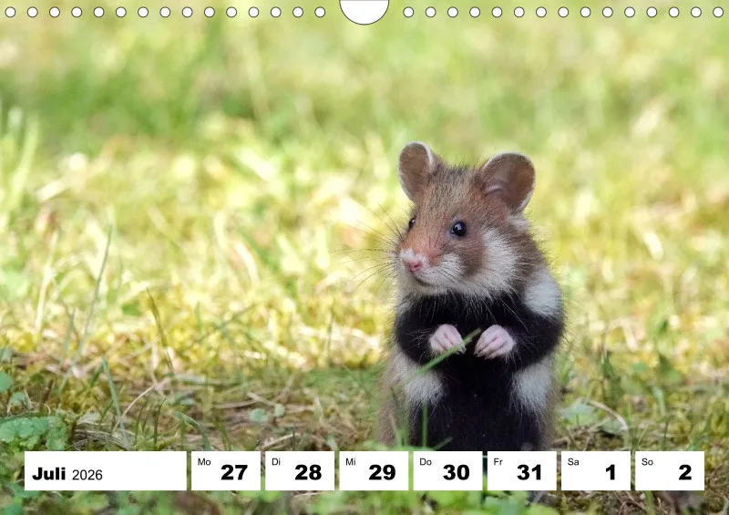 Wochenkalender 2026 -A4