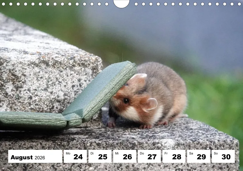 Wochenkalender 2026 -A4