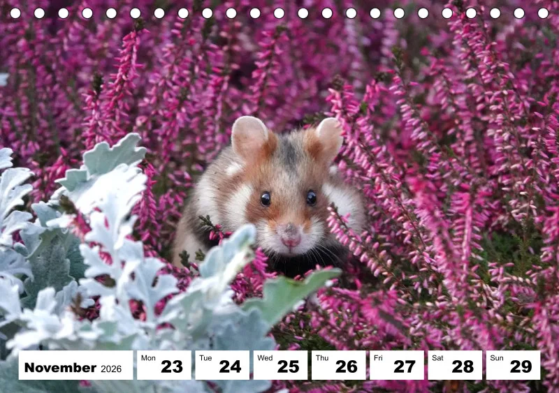 desk calendar 2026