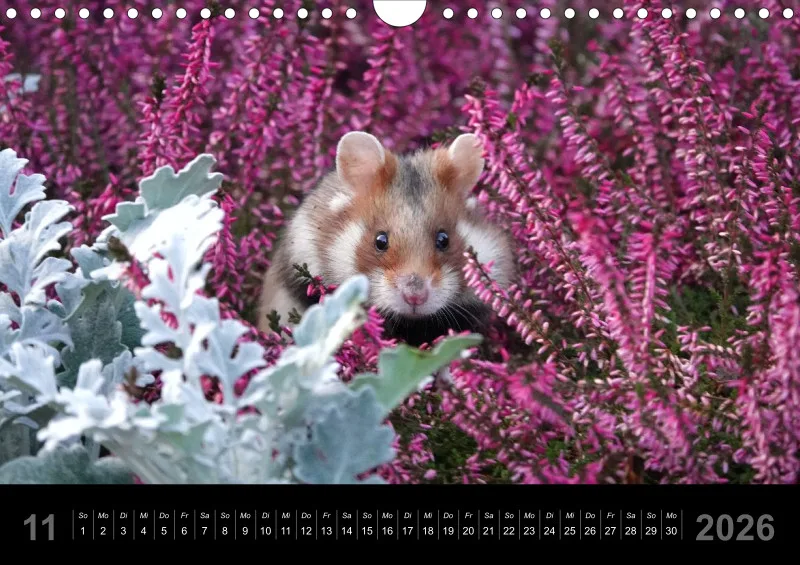 Monatskalender 2026 - A4