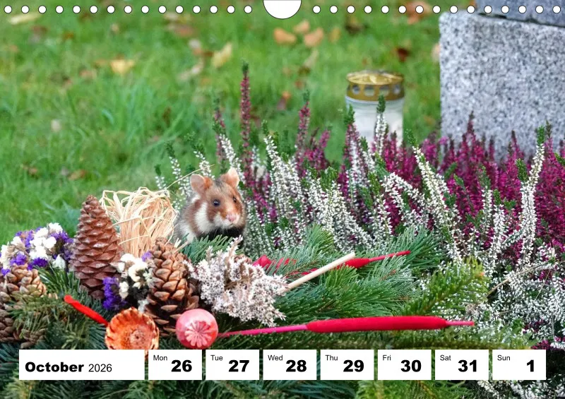 weekly calendar 2026 - A4
