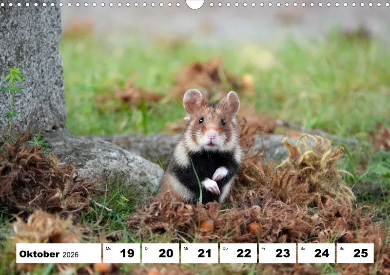 Wochenkalender 2026 -A3