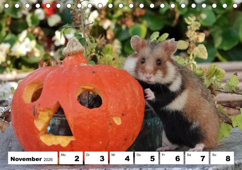 Tisch-Wochenkalender 2026