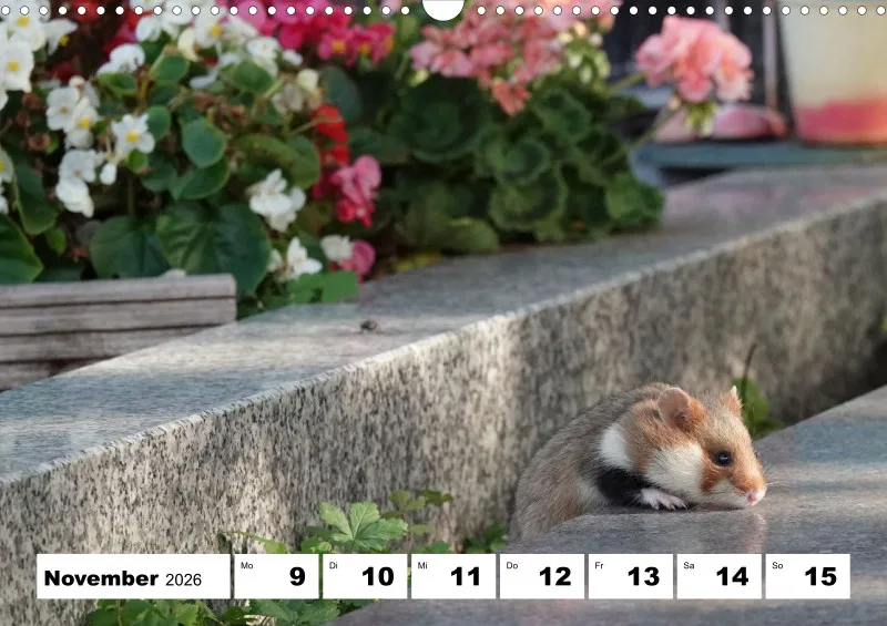 Wochenkalender 2026 -A3
