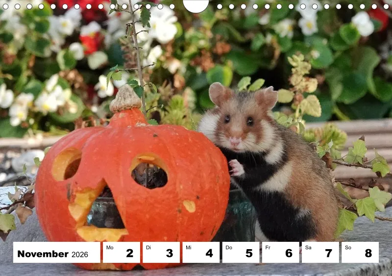 Wochenkalender 2026 -A4