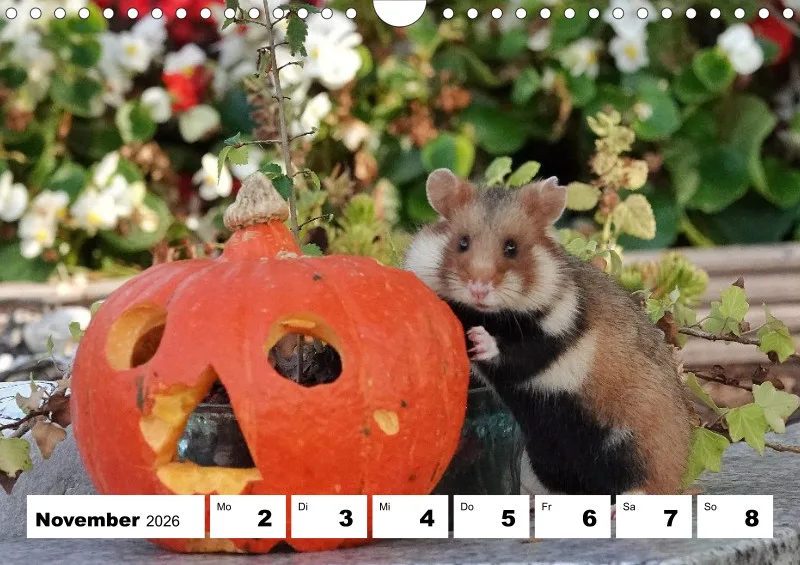 Wochenkalender 2026 -A4