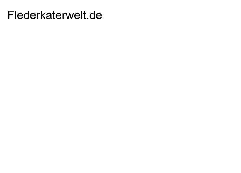 Kraniche 1