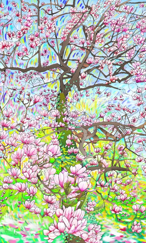 Magnolie