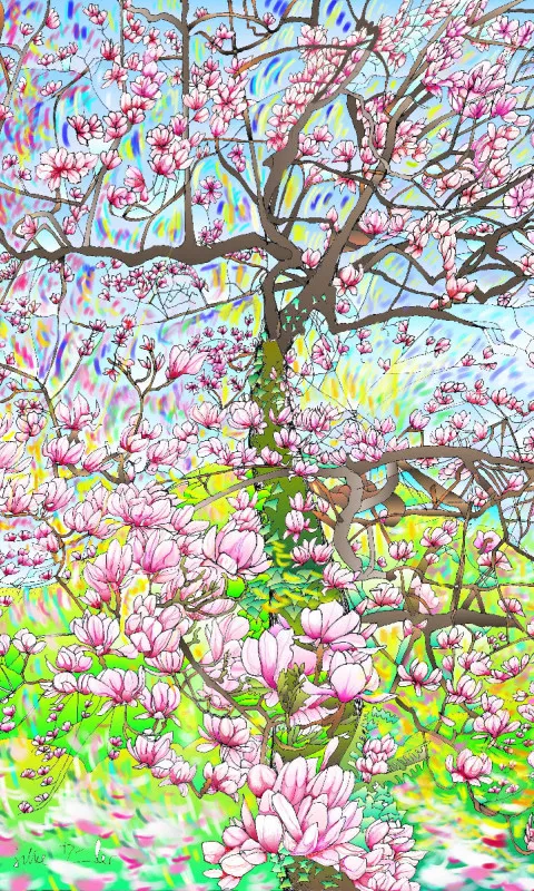 Magnolie 2