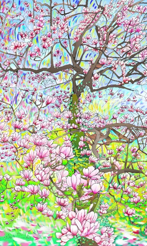 Magnolie 2