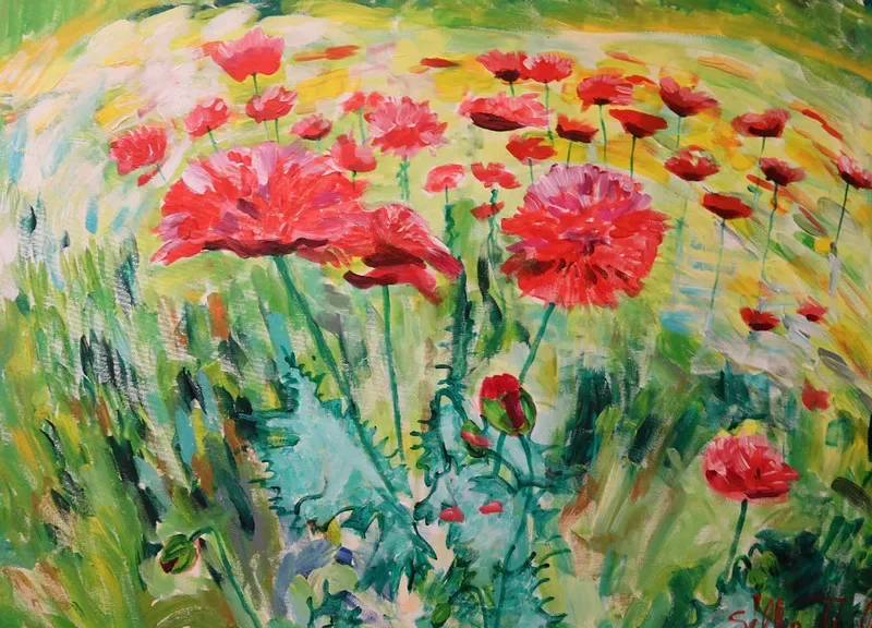 Mohnblumen