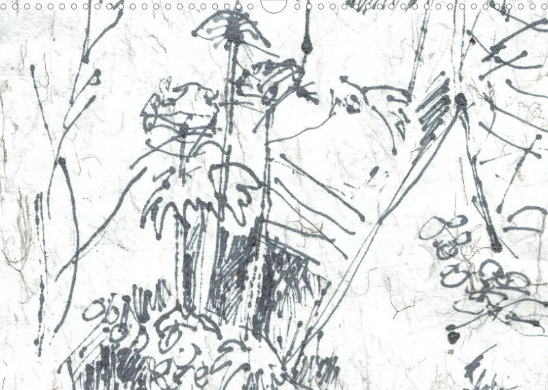 Insel Rügen in Grafiken / Posterbuch ohne Kalendarium