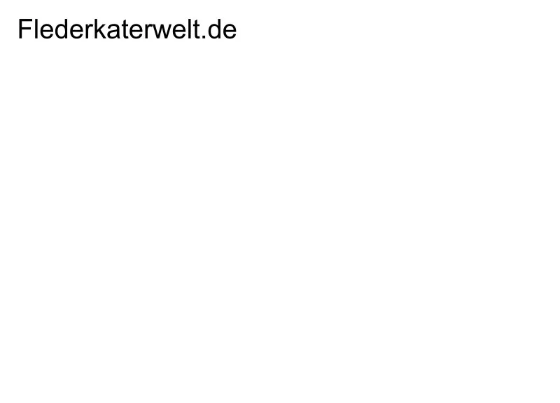 Weihnachtskatzen