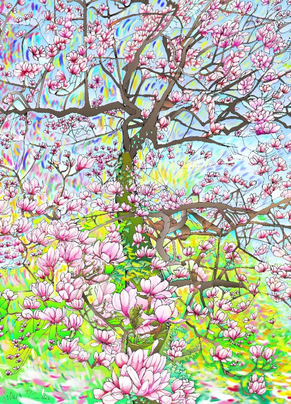 Magnolie 2