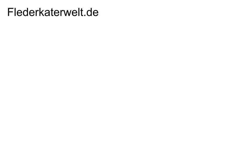 Weihnachtskatzen