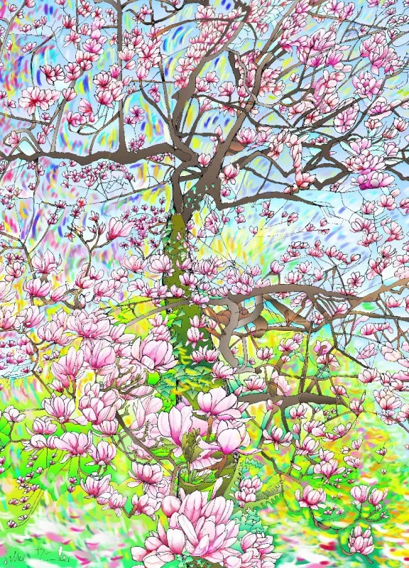 Magnolie 2