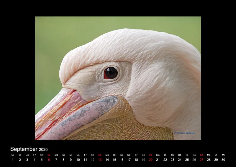 A2 Fotokalender / Nr. 1