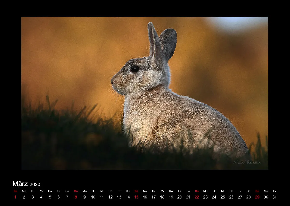 A2 Fotokalender / Nr. 1