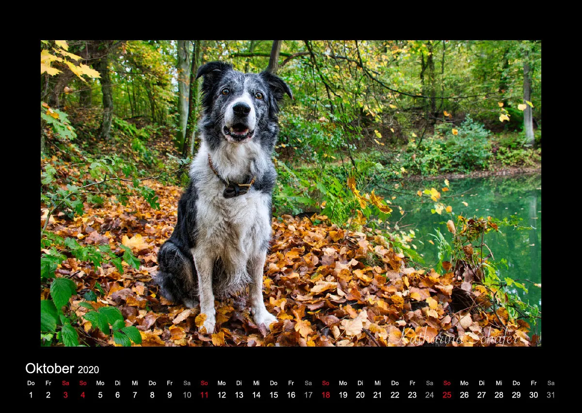 A2 Fotokalender / Nr. 1