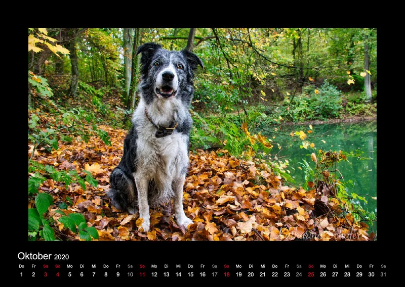 A2 Fotokalender / Nr. 1