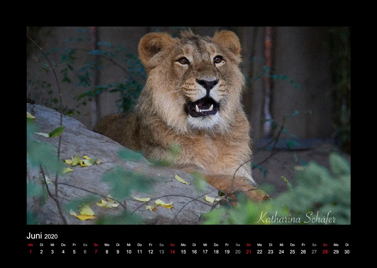 A3 Fotokalender / Nr. 1