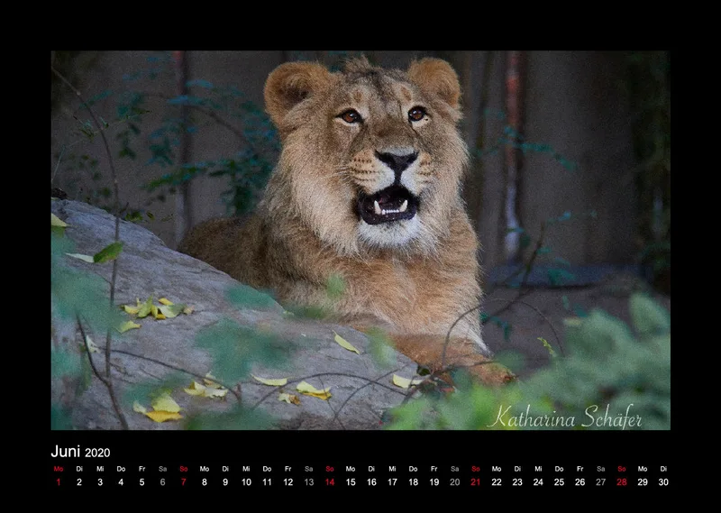 A3 Fotokalender / Nr. 1