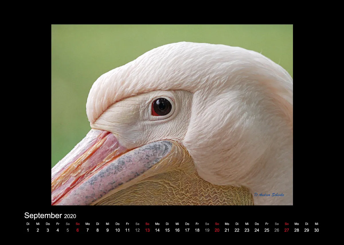 A3 Fotokalender / Nr. 1
