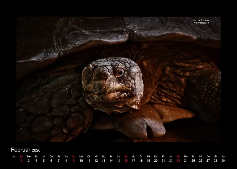 A4 Fotokalender / Nr. 1