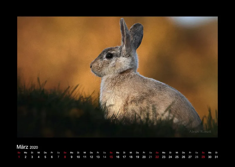 A3 Fotokalender / Nr. 1