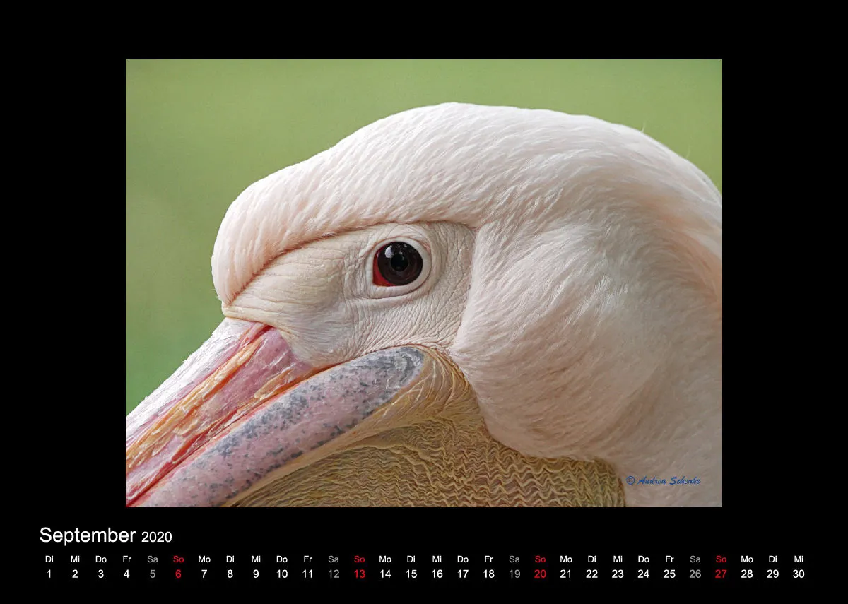 A4 Fotokalender / Nr. 1