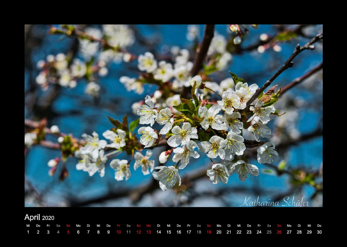 A3 Fotokalender / Nr. 1