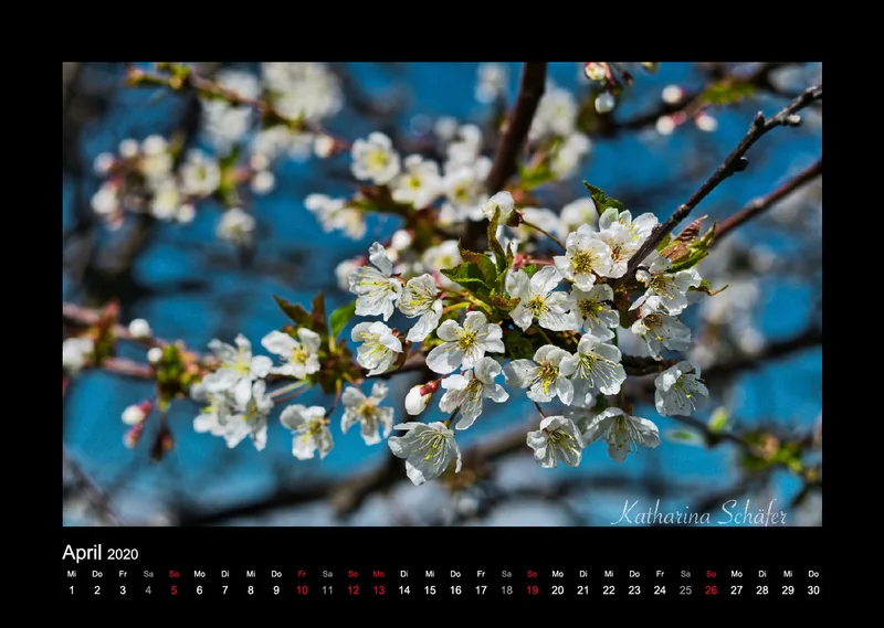 A3 Fotokalender / Nr. 1