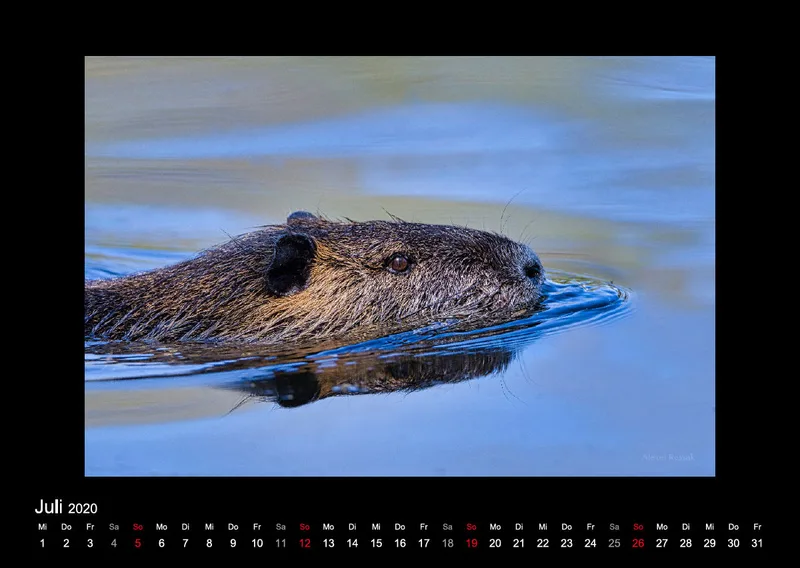 A2 Fotokalender / Nr. 1