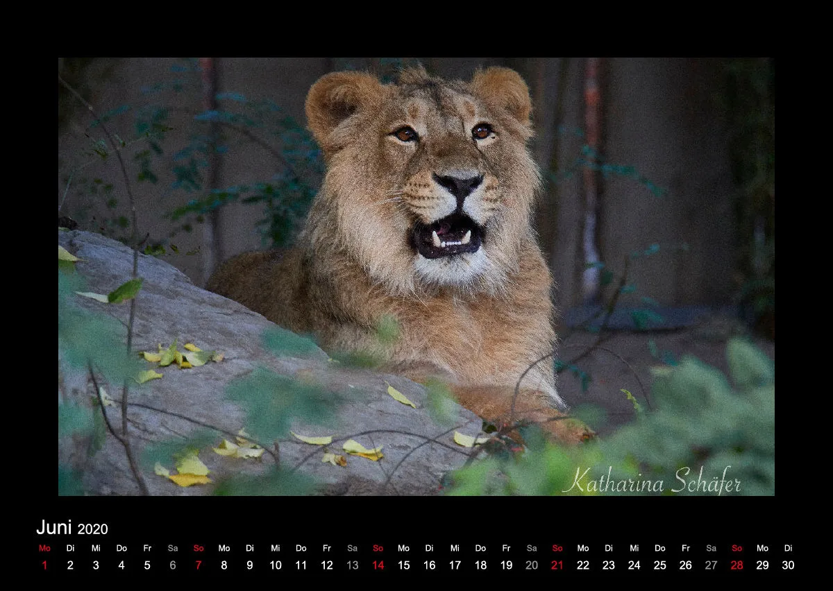A2 Fotokalender / Nr. 1