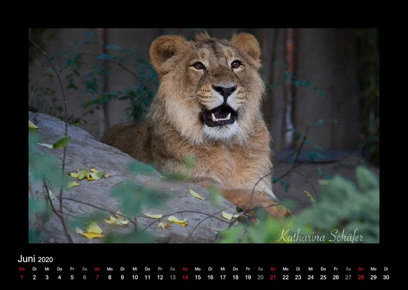 A2 Fotokalender / Nr. 1
