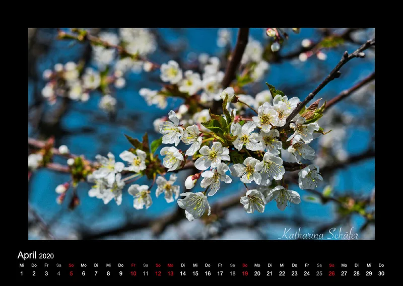 A2 Fotokalender / Nr. 1