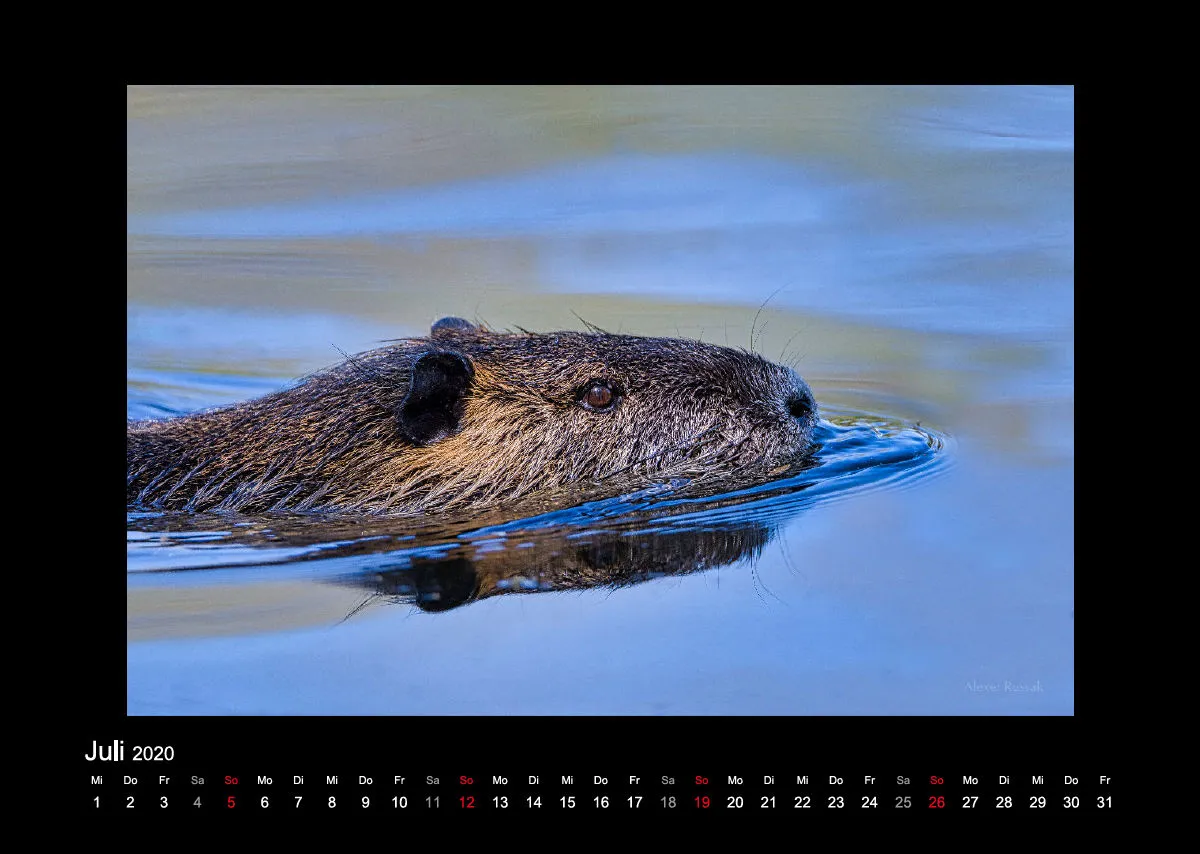 A3 Fotokalender / Nr. 1