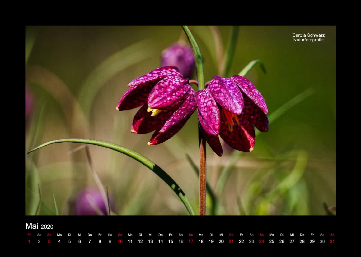 A3 Fotokalender / Nr. 1