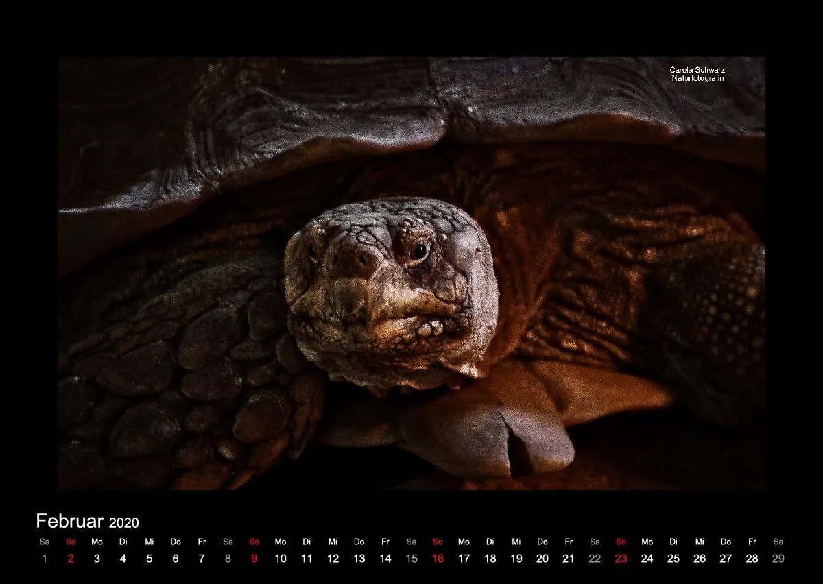 A2 Fotokalender / Nr. 1