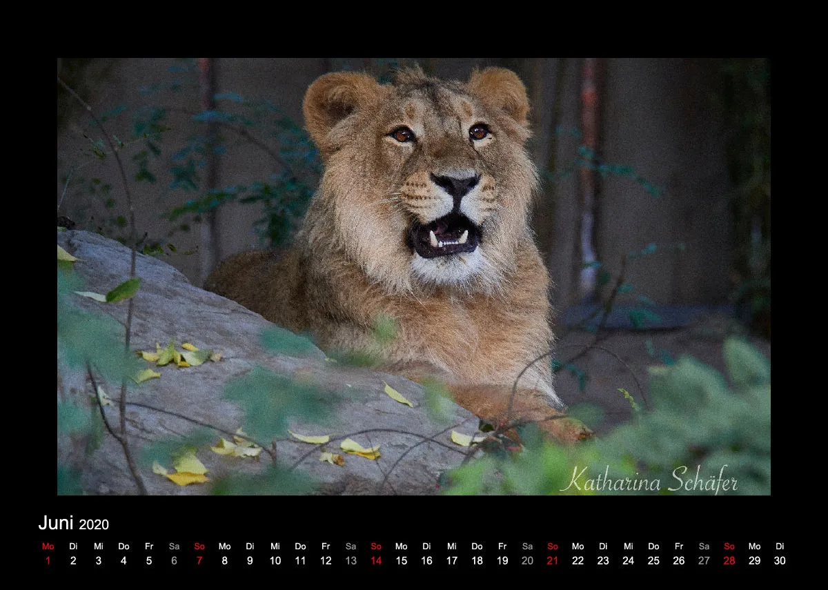 A4 Fotokalender / Nr. 1
