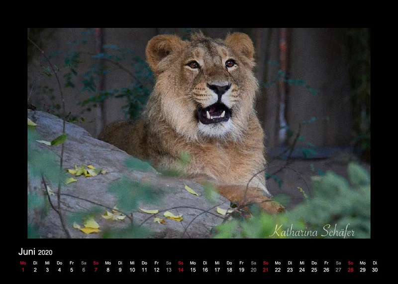 A4 Fotokalender / Nr. 1