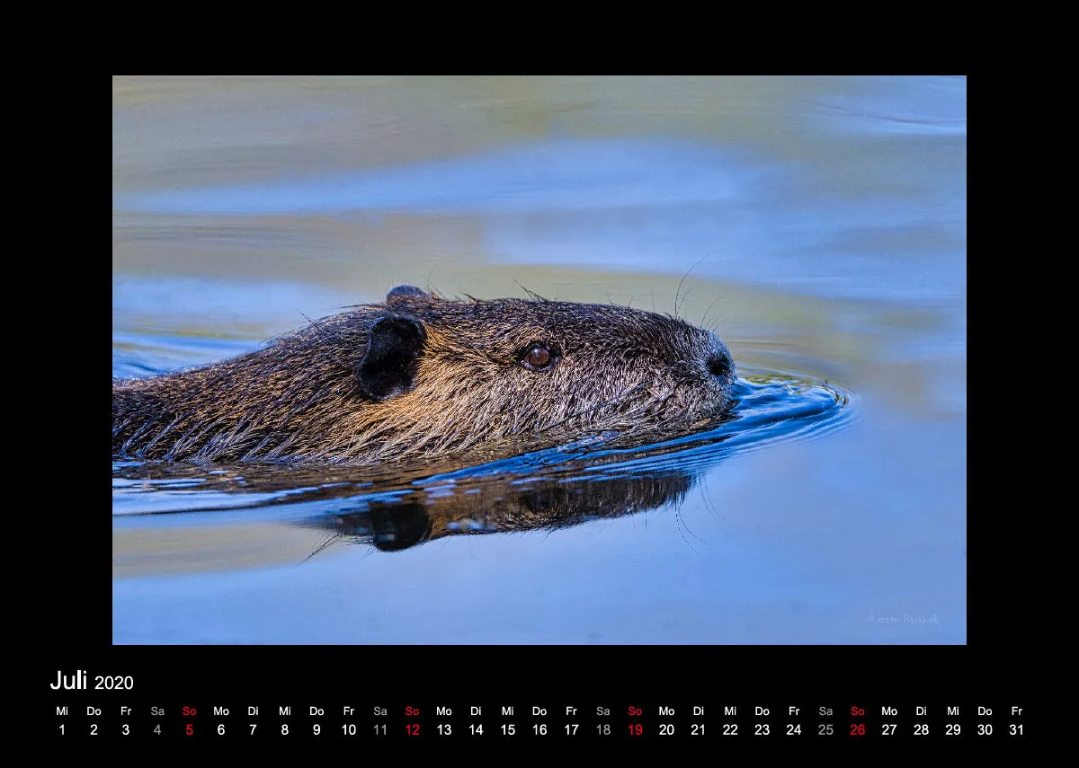A4 Fotokalender / Nr. 1