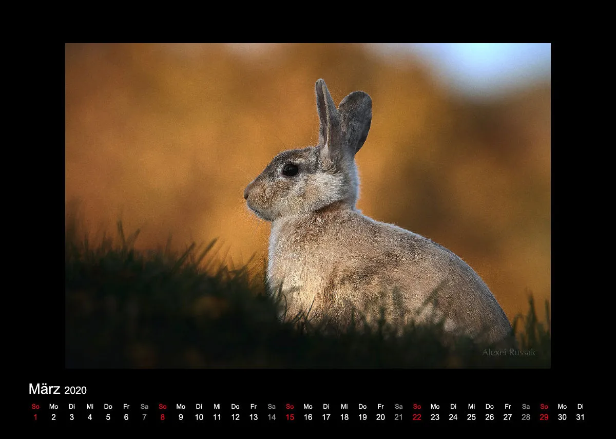 A4 Fotokalender / Nr. 1